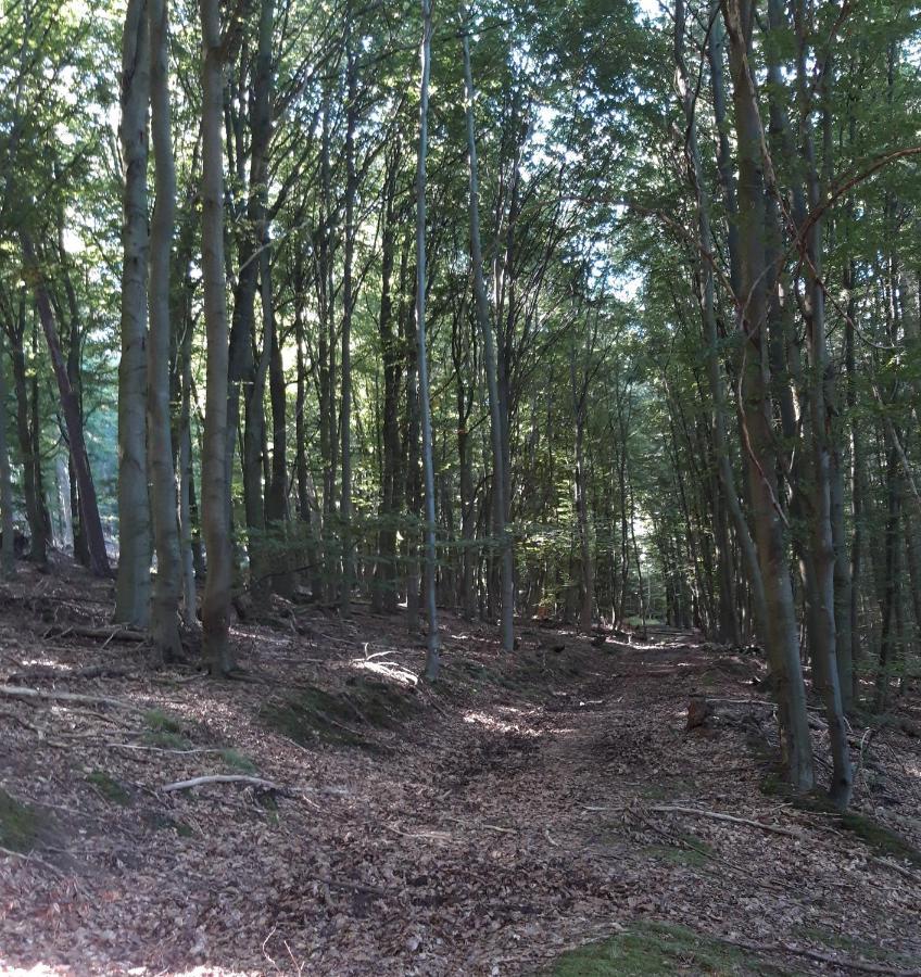 An Der Bicke Dehringhausen